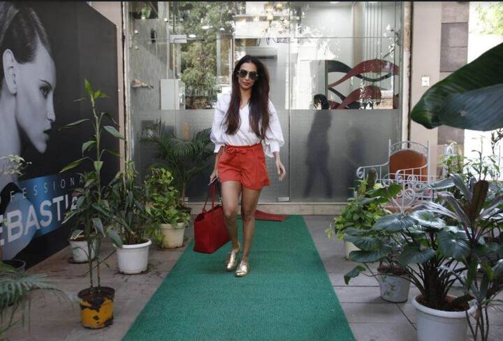 मलाइका ने टीवी चैनल एमटीवी से करियर का आगाज किया जो आगे फिल्मों में बदल गया. 