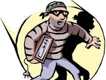 मेरठ के एक फॉर्म हाउस पर चोरी करने पहुंचा चोर, फिर ऐसा कुछ हुआ कि मालिक ने नौकरी पर रखा