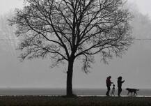 दिलचस्प: गुजरात के इस गांव के इंसान ही नहीं, बल्कि कुत्ते भी हैं करोड़पति