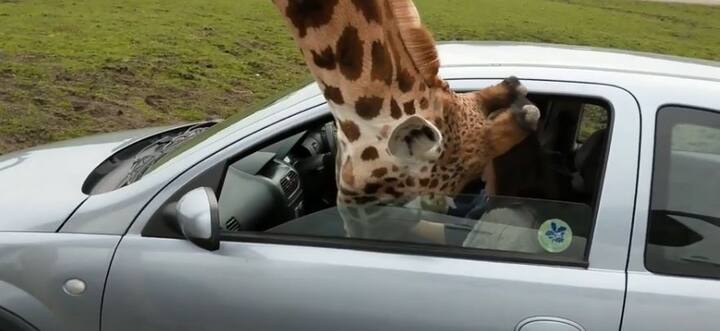 कार में सवार महिला ने कहा, 