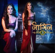 In PICS : अपने जन्मदिन पर ससुर संग चीयर्स करती दिखीं अनीता हसनंदानी, फोटो हुई वायरल