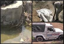 हरियाणा में हैवानियत: रोहतक में 10 साल की बच्ची की की रेप के बाद हत्या, बैग में बंद कर फेंका शव