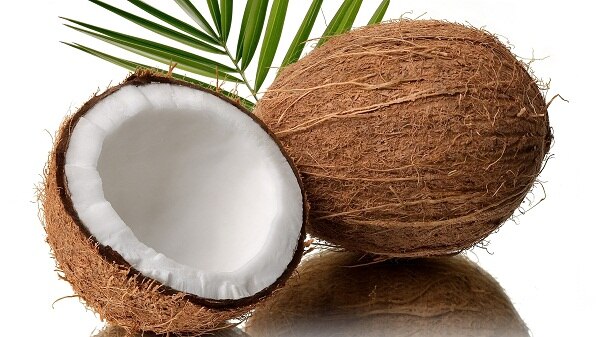 World Coconut Day 2021 Know the history and significance of Coconut day World Coconut Day 2021 : आज साजरा केला जातोय जागतिक नारळ दिन; जाणून घ्या त्याचा इतिहास आणि महत्व