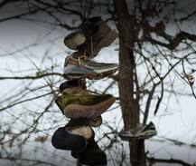 जूतों का पेड़! कभी देखा है आपने, ये रहीं हैरान करने वाली तस्वीरें