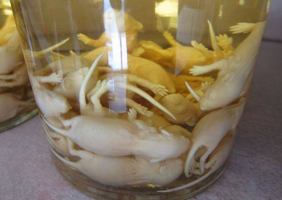 क्या आपने कभी ऐसे ड्रिंक्स,  ट्राई किए हैं जिनके नाम अजीबो-गरीब हों? जी हां, आज हम आपको कुछ ऐसे ड्रिंक्स के नाम बता रहे हैं जिनके बारे में जानकर आपको कभी उन्हें पीने का भी मन नहीं करेगा.