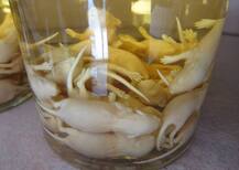 ये हैं वियर्ड ड्रिंक्स, नाम सुनते ही पीने का भी नहीं करेगा मन