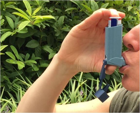 एक विश्लेषण के मुताबिक धूल में छिपे कण एलर्जिक अस्थमा का सबसे आम कारण पाए गए हैं.