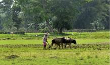 बुधवार का दिन देश के 12 करोड़ किसानों के लिए क्यों है खास?