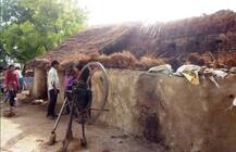 महिला के सिर में जा घुसी आंधी में उड़ती हुई टीन, दर्दनाक मौत