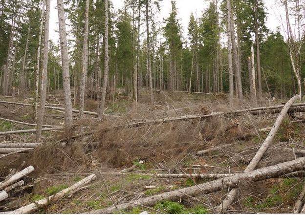 रास्ते में आंधी-तूफान बढ़ने पर वाहन पेड़ के नीचे न रोकें और यात्रा के दौरान आंधी-तूफान आने पर वाहन रोक दें.  