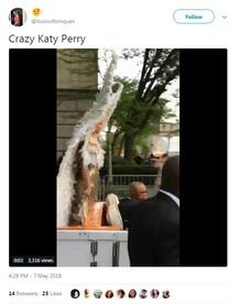 MET GALA 2018: कैटी पेरी की ड्रेस पर यूजर्स ने ट्विटर पर जमकर की तारीफ