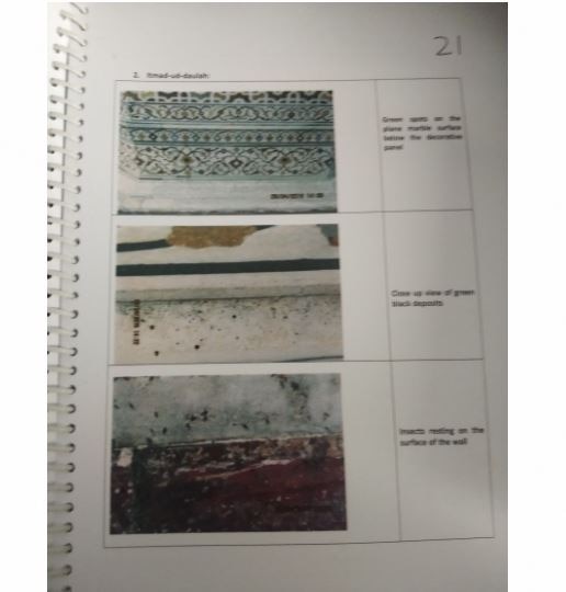 मामले के याचिकाकर्ता एम सी मेहता ने कहा, 