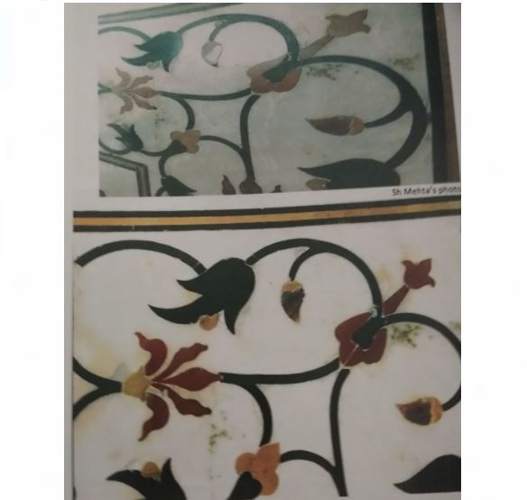  ASI के वकील ने पर्यटकों के गंदे मोजों को भी ताजमहल में गंदगी की वजह बताया. उन्होंने कहा कि ASI सिर्फ अति विशिष्ट लोगों (VIP) को मोजे देता है. बाकी पर्यटक अपने मोजों का इस्तेमाल करते हैं.कोर्ट इस दलील से भी आश्वस्त नज़र नहीं आया. कोर्ट ने कहा कि अगर ASI ने अपना काम ज़िम्मेदारी से किया होता तो ऐसे हालात नहीं बनते. अब इस स्थिति का हल ASI को अलग रख कर ही निकलना होगा.