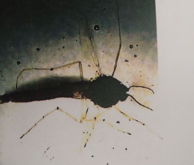 कोर्ट ने सरकार से इस पहलू पर भी हलफनामा दाखिल करने को कहा है. मामले की अगली सुनवाई जुलाई में होगी. कोर्ट ने यूपी सरकार से पहले ही कह रखा है कि वो ताजमहल को सदियों तक सुरक्षित रखने का विज़न डॉक्यूमेंट बना कर जुलाई में पेश करे.