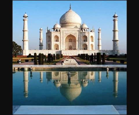कीड़े, काई और गंदे मोजे बदल रहे ताजमहल का रंग : ASI कीड़े, काई और गंदे मोजे बदल रहे ताजमहल का रंग : ASI