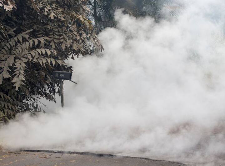वोलकैनो फटने से हवा में सल्फर डाईऑक्साइड फैल गई है जिससे लोगों को परेशानी हो रही है. फोटोः एपी एजेंसी 