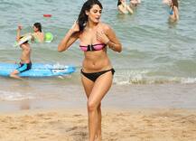 इस एक्स बिग बॉस कंटेस्टेंट ने अपने पालतू कुत्ते के लिए ठुकराया वेब सीरीज का ऑफर