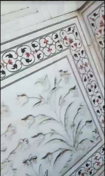 बता दें कि बीते साल दुनिया भर में ताज पर कीड़ों की चर्चा हुई तो मामले का स्वत: संज्ञान भी नेशनल ग्रीन ट्रिब्यूनल ने ले लिया लेकिन कीड़ों का हमला रोकने के लिए एडीएम सिटी की अध्यक्षता वाली कमेटी ने जांच के बाद जो कदम उठाने की संस्तुति की गई, वह मानी ही नहीं गई, जिसका असर ये है कि इस साल भी ताज पर कीड़े पहुंचकर दीवारों को हरे रंग में रंग रहे हैं. यमुना नदी में पानी की कमी और सीवेज ज्यादा होने से कीड़े गंदगी और दलदल में पनप रहे हैं. हम लगातार ताज की सतह की सफाई करा रहे हैं. लू के कारण कीड़ों की ग्रोथ कम है.वहीं ताजमहल का दीदार करने आने वाले पर्यटक भी ताजमहल के रंग को देख बेहद चिंतित है उनका कहना है कि पहले स्वेत धवल दिखाई देने वाले ताजमहल का रंग अब हरा दिखाई दे रहा है इसे साफ रखने की जरूरत है.