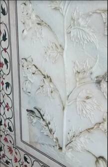 आगरा: दुनिया का सातवां अजूबा \'ताज महल\' झेल रहा है कीड़ों का हमला, फीका पड़ने लगा है रंग