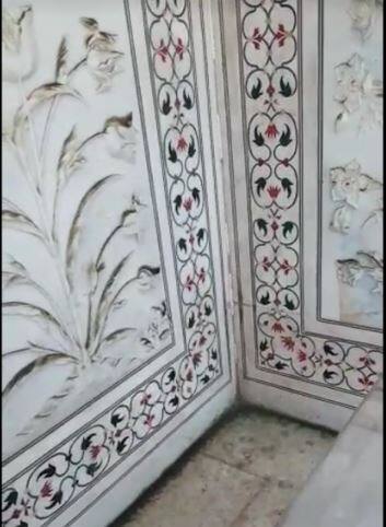 ताजमहल पर एक नहीं, बल्कि तीन प्रजातियों के कीड़े हमला कर रहे हैं. यमुना में फास्फोरस बढ़ने के कारण गोल्डी काइरोनोमस, पोडीपोडीलम और ग्लिप्टोटेन पहुंच रहे हैं. एएसआई को बीते साल की सैंपलिंग में ये तीनों कीड़े हरा रंग छोड़ते हुए मिले थे. हर दिन लाखों की तादात में यह हमला किया गया था. काइरोनोमस फैमली के यह कीड़े 35 डिग्री तापमान में प्रजनन शुरू करते हैं और 50 डिग्री तक के तापमान को झेल सकते हैं. काइरोनोमस मादा कीट एक बार में एक हजार तक अंडे देती है. लार्वा और प्यूमा के बाद करीब 28 दिन में पूरा कीड़ा बनता है. हालांकि कीड़े की मियाद महज दो दिन है लेकिन मादा कीट के अंडे यमुना नदी में भीषण गंदगी और फास्फोरस की मौजूदगी से बन रहे हैं.