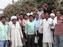 कैराना उपचुनाव में बीजेपी को भारी पड़ सकती है गन्ना किसानों की नाराजगी