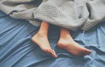 OMG! इंसानों से भी ज्यादा साफ-सुथरा बेड होता है इस जानवर का