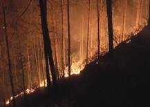 उत्तराखंड के जंगलों में लगी आग, गांववालों का आरोप- मौके पर नहीं पहुंचे वन विभाग के कर्मचारी