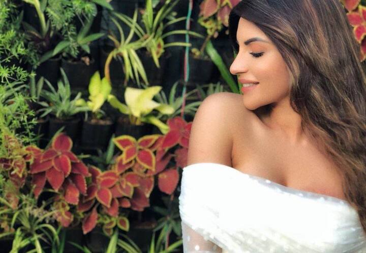 टीवी एक्ट्रेस शमा सिकंदर अपने हॉट अंदाज के चलते सुर्खियों में रहती हैं लेकिन इस बार शमा अपनी तस्वीरों के चलते नहीं बल्कि अपनी बीमारी के चलते सुर्खियों में हैं. (Photo - Instagram @shamasikander)