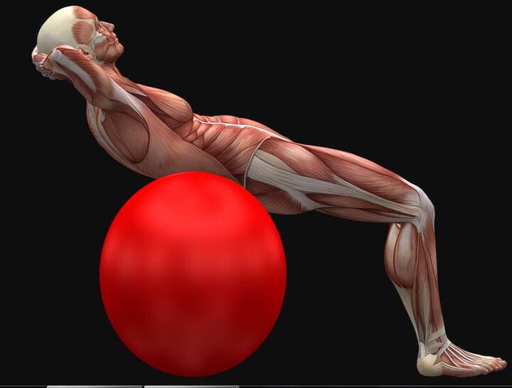 एक सप्ताह में 30 मिनट के हिसाब से 2-3 दिन व्यायाम मध्यम आकार की धमनियों की कठोरता कम करने के लिए पर्याप्त हो सकता है. जबकि प्रति सप्ताह चार से पांच दिन व्यायाम लंबी केंद्रीय धमनियों को युवा बनाए रखता है. फोटोः गूगल फ्री इमेज