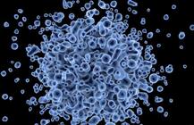 निपाह वायरस का कहर जारी, केरल में अब तक 10 की मौत, सीएम ने कहा- सभी कदम उठा रही है सरकार