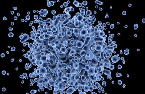 Nipah Virus के बारे में ये बातें जानना है बेहद जरूरी