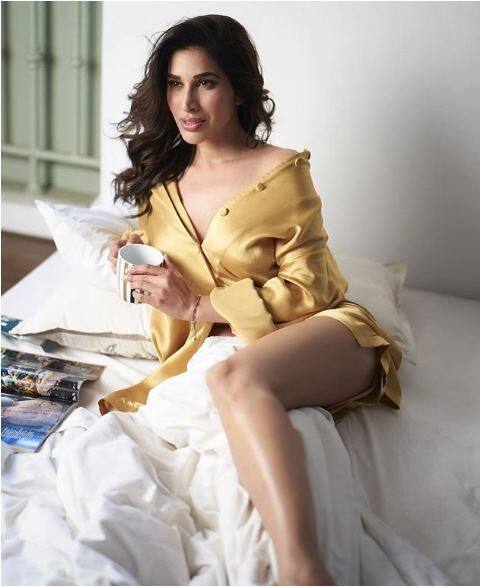 दरअसल बॉलीवुड फिल्म 'हंगामा हो गया' की एक्ट्रेस सोफी चौधरी ने अपने इंस्टाग्राम अकाउंट पर कुछ तस्वीरें फैंस के लिए साझा की है. (तस्वीर-इंस्टाग्राम)