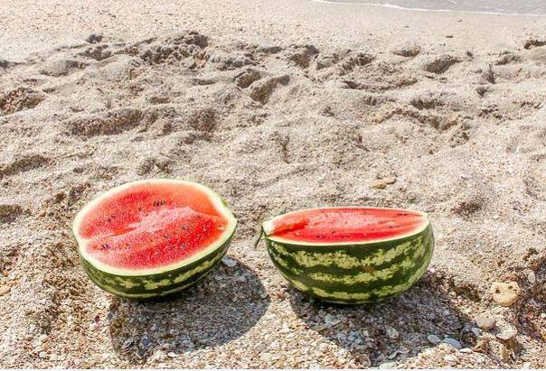 ताजे खाएं- ताजे फल और सब्जियां खाएं. बहुत देर के कटे फल ना खाएं. बांसी खाना एवॉइड करें. इससे बॉडी में हीट कम होगी. हार्ड फूड के बजाय सलाद, फ्रूट्स और सब्जियों का ही सेवन अधिक करें. ऐसी सब्जियों का सेवन अधिक करें जिनमें पानी की मात्रा अधिक हो. ट्रैवल के टाइम पर कुछ फ्रूट्स साथ में रखें.फोटोः गूगल फ्री इमेज