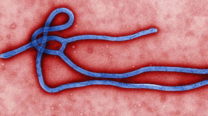 केरल से आने वाले लोगों से मिलना-जुलना नजरअंदाज करें. साथ ही फीवर होने पर तुंरत दवा लें. फोटोः गूगल फ्री इमेज 