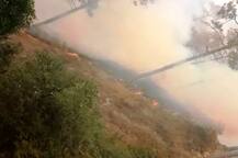 उत्तराखंड के बाद जम्मू पहुंची जंगलों की आग, वैष्णो देवी मंदिर के तीन रास्ते बंद