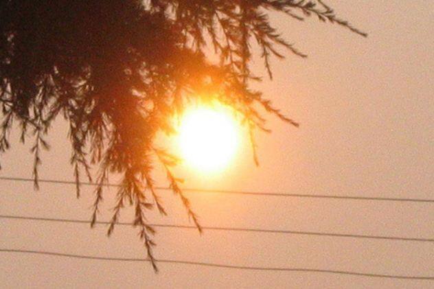  रसदार फल, सब्जियां और दही जैसे स्वस्थ खाद्य पदार्थ खाने से आप डिहाइड्रेशन, त्वचा की संवेदनशीलता और साथ ही साथ विटामिन और खनिज की कमी जैसी   गर्मियों की बीमारियों से दूर रह सकते हैं. आज हम आपको बता रहे हैं गर्मियों को मात देकर मौसम का आनंद लेने के कुछ उपाय.फोटोः गूगल फ्री इमेज 
