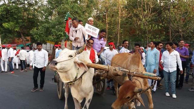 झांसी: पेट्रोल की बढ़ती कीमतों के विरोध में एसपी नेताओं ने निकाली बैलगाड़ी यात्रा Sp leader pratipal Singh protested against petro-diesel price hike