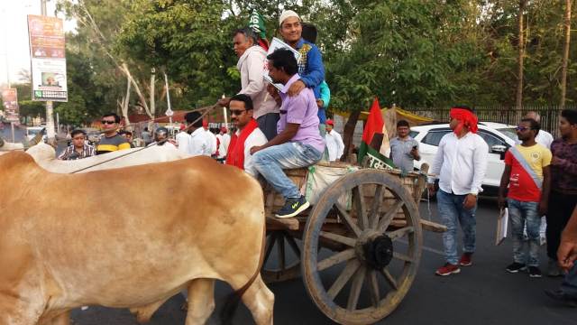 झांसी: पेट्रोल की बढ़ती कीमतों के विरोध में एसपी नेताओं ने निकाली बैलगाड़ी यात्रा