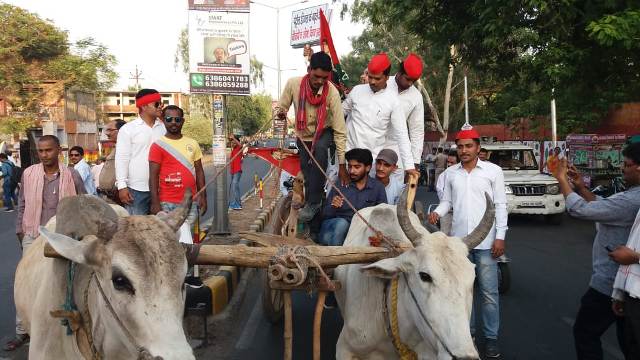 झांसी: पेट्रोल की बढ़ती कीमतों के विरोध में एसपी नेताओं ने निकाली बैलगाड़ी यात्रा