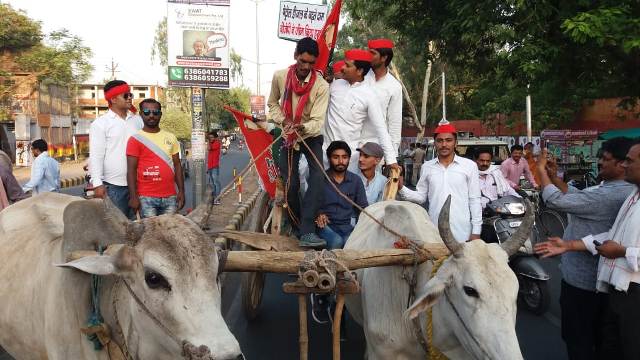 झांसी: पेट्रोल की बढ़ती कीमतों के विरोध में एसपी नेताओं ने निकाली बैलगाड़ी यात्रा