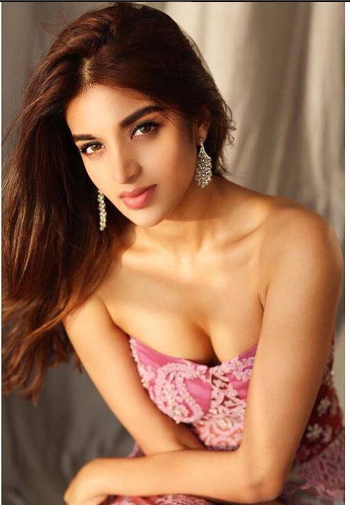 निधि हमेशा से ही एक्ट्रेस बनना चाहती थीं.