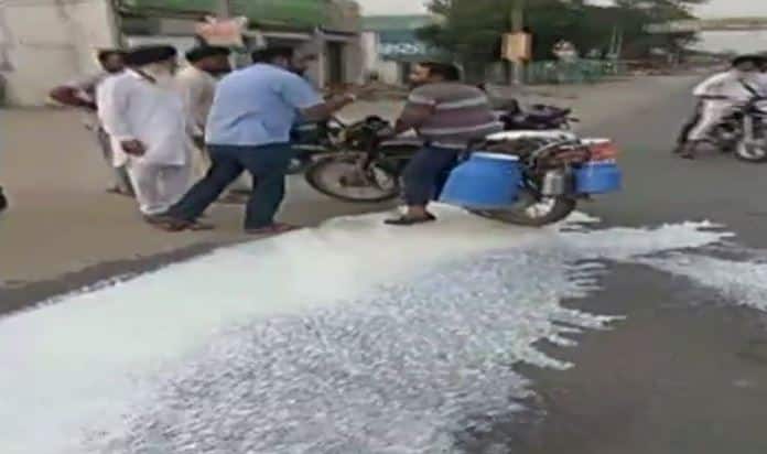 Strike: farmers stop supply vegetables fruits and milk in cities किसान आंदोलन: MP में सड़कों पर दूध बहाए, पंंजाब मेें फल और सब्जियां फेंकी