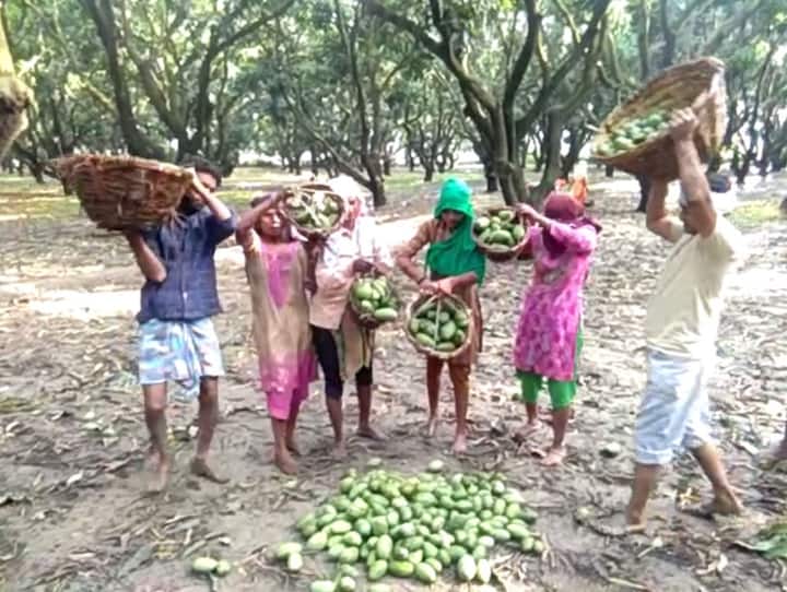 पिछले दिनों करीब तीन बार भयंकर आंधी तूफान आया जिसने उत्तर प्रदेश को हिला कर रख दिया. तेज हवाएं चलीं, बारिश हुई और कुछ जगहों पर ओले भी गिरे. आगरा, कासगंज, बरेली समेत कई अन्य जिलों में कई लोगों ने इस अंधड़ में जान भी गंवा दी.