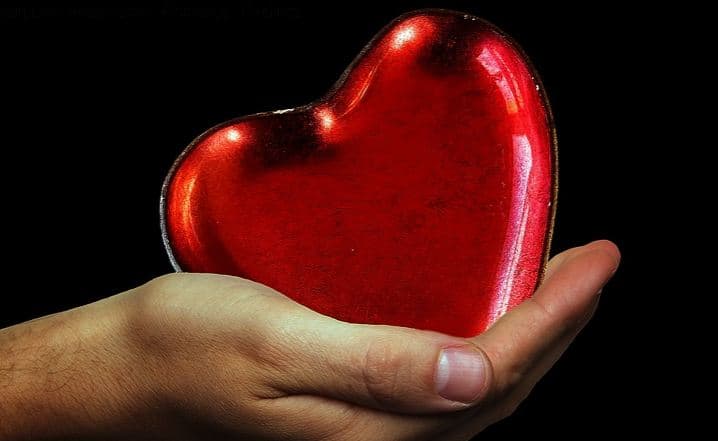 कहलेओवा ने कहा कि लेकिन ये शोध बताता है कि कुछ निश्चित डायट कोलेस्ट्रॉल को कम करने में प्रभावी और हमारे दिल संबंधी स्वास्थ्य को बेहतर करने में मददगार होती है. फोटोः गूगल फ्री इमेज