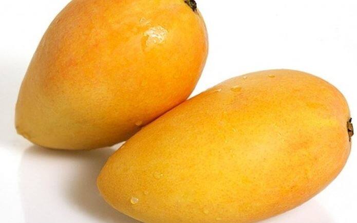 गर्मी के मौसम में आम और लीची जैसे फलों का सीजन होता है. (तस्वीर-गूगल फ्री इमेज)