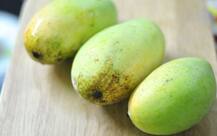 मसाले में पके आम को खाने से एक बच्ची की मौत, 4 बच्चियां मेडिकल कॉलेज में भर्ती