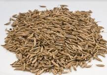 10 दिन खाली पेट जीरा खाने के इन फायदों के बारे में जानते हैं आप