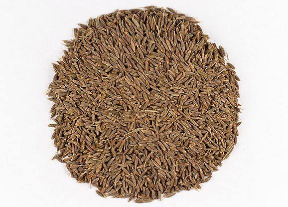  ये रिसर्च के दावे पर हैं. ABP न्यूज़ इसकी पुष्टि नहीं करता. आप किसी भी सुझाव पर अमल या इलाज शुरू करने से पहले अपने एक्सपर्ट की सलाह जरूर ले लें.   फोटोः गूगल फ्री इमेज 