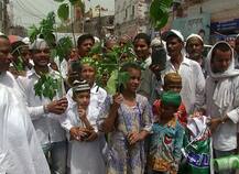 अलविदा की नमाज़ में बांटे गए पौधे, दिलाई गई पर्यावरण बचाने की शपथ