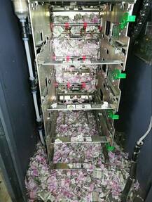चूहों ने ATM मशीन में घुसकर कुतरे 12 लाख रूपए, यहां हैं तस्वीरें